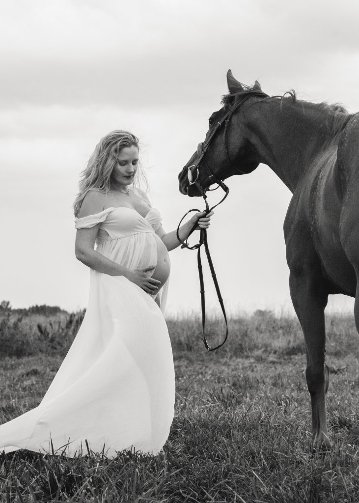 black and white maternity horse