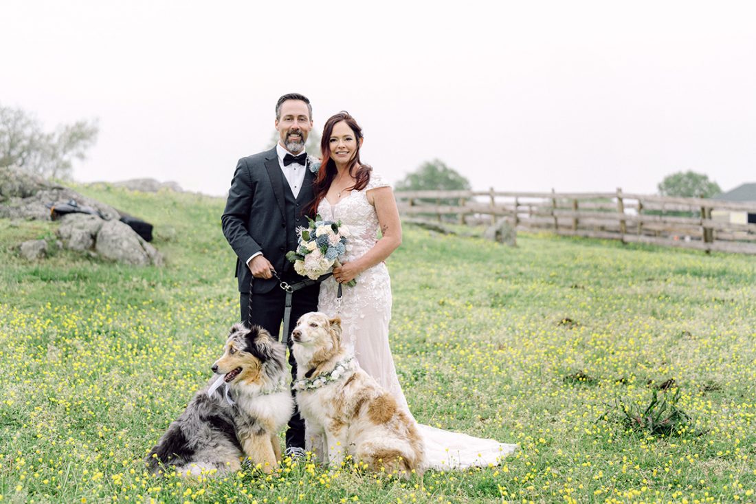 bride and groom posing in field of buttercups with their dogs at their feet